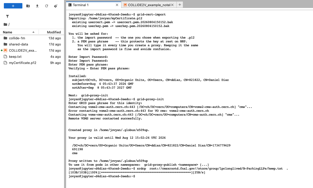 Grid certificate import and proxy creation in a hub terminal